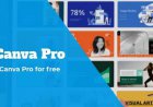 Hướng dẫn nâng cấp Tài khoản Canva Pro miễn phí vĩnh viễn 2022